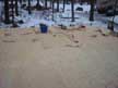 I redrew the crude plans with autocad and then laid out a jig on the deck. 